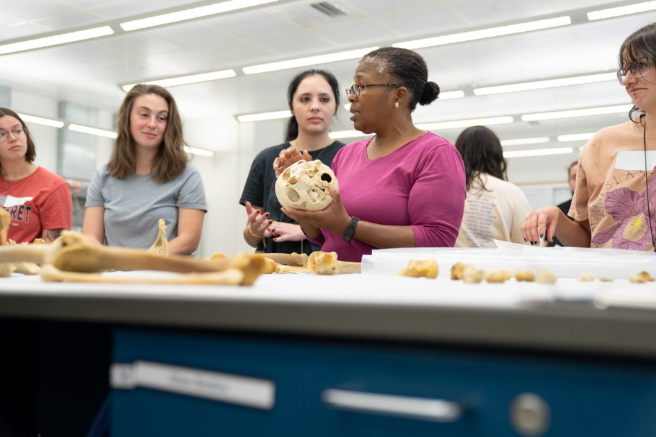 Forensic Anthropology Skill-Sharpening Workshops: Enroll Now